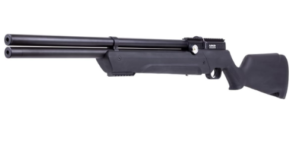 Best Air Rifles for Hunting