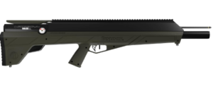 Best Air Rifles for Hunting