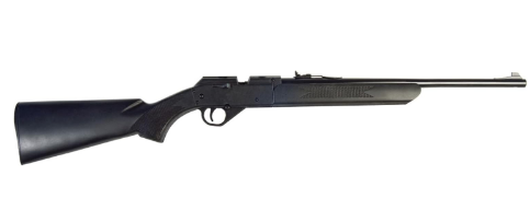 Best Air Rifles for Hunting