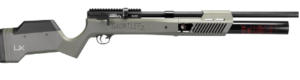 Best High Powered Air Rifles for hunting