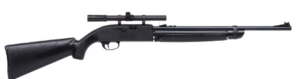 Best Air Rifle For Rats