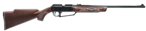 Best Air Rifle For Rats