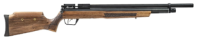 Best Air Rifle For Rats