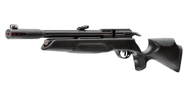 Best High Powered Air Rifles for squirrels