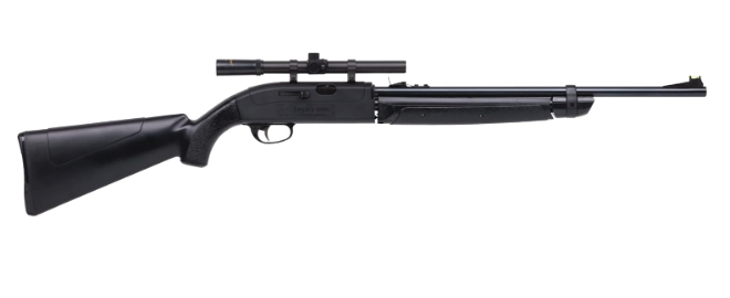 Best Air Rifle For Rats