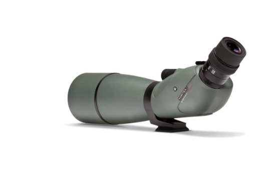 Best Scope for Target Shooting