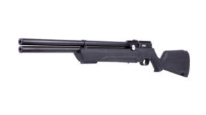 Best Air Rifles for Hunting