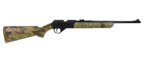 Best Air Rifles for Hunting