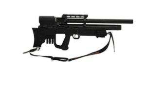 Best High Powered Air Rifles for squirrels