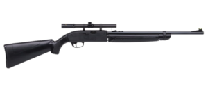 Best Air Rifle For Rats