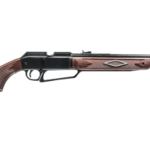 Best Air Rifle For Rats