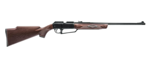 5 Best Air Rifle For Rats
