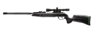 Best Air Rifle For Rats