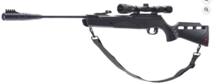 Best Air Rifles for Rats and Rabbits