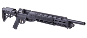 Best Air Rifles for Hunting Groundhogs