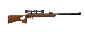 Best 495 fps Pellet Gun